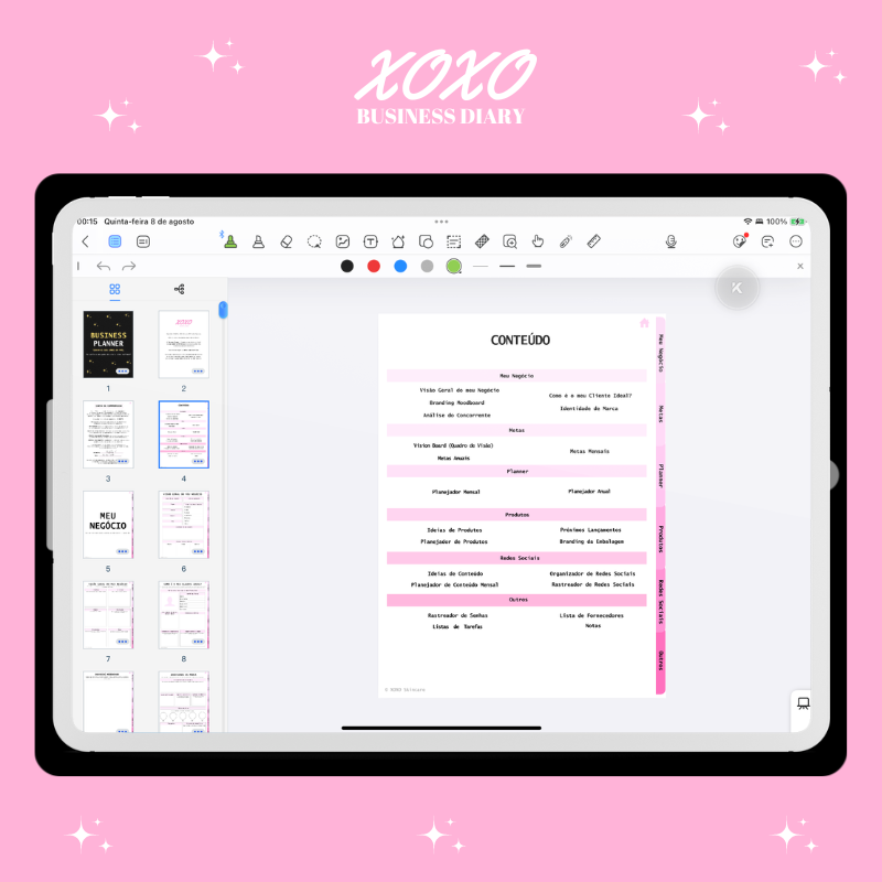 ✨ Tirando meus Sonhos do Papel | Business Planner (Cor Rosa) ✨
