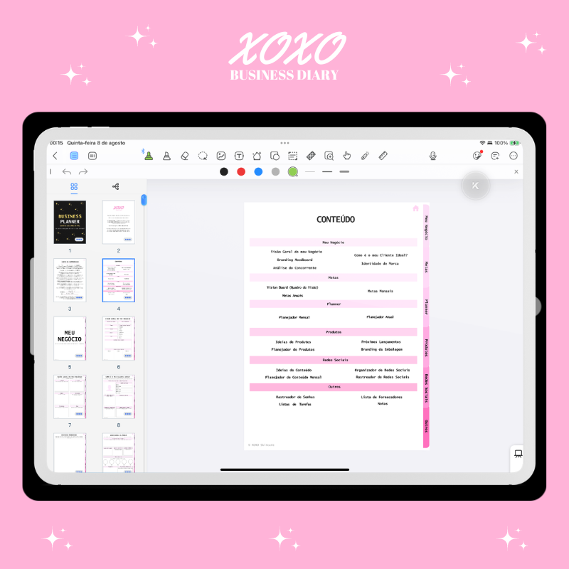 ✨ Tirando o seus Sonhos do Papel | Business Planner (Rosa) ✨